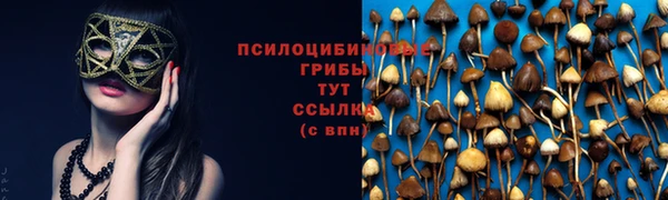 2c-b Богородск
