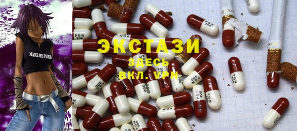 гидра Богданович